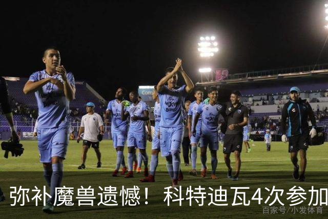 弥补魔兽遗憾！科特迪瓦4次参加世界杯 本届终迎淘汰赛